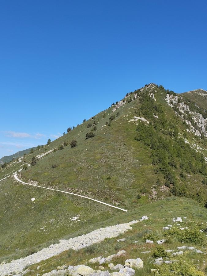LA STRADA DEI CANNONI